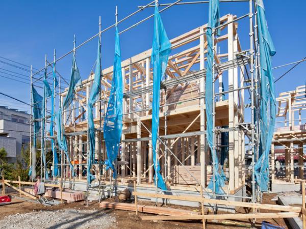 Local appearance photo. 2013 / 11 / 27 shooting