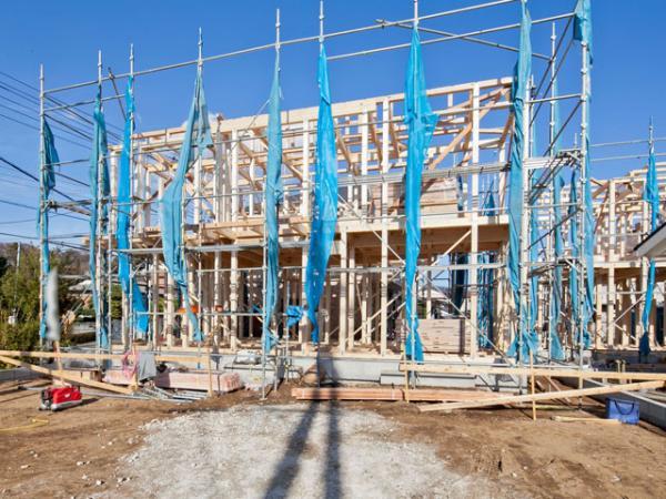 Local appearance photo. 2013 / 11 / 27 shooting