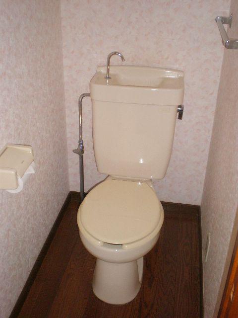 Toilet. It will settle down with a simple toilet