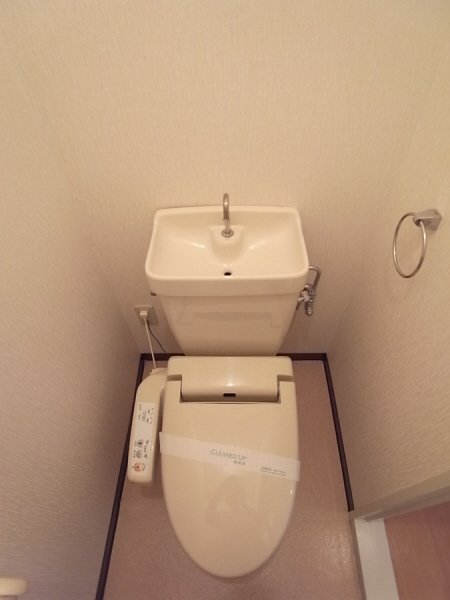 Toilet. Bidet with a clean toilet