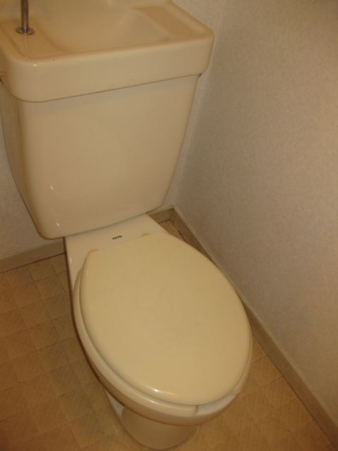 Toilet. Reference is a picture.