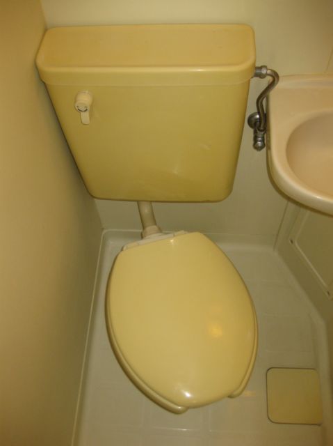 Toilet. Western-style toilet