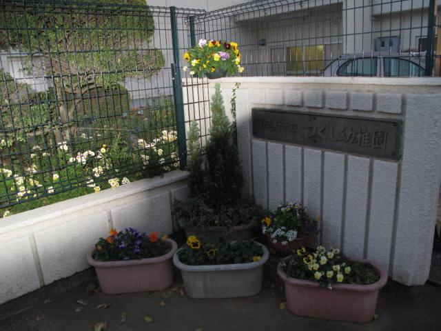 kindergarten ・ Nursery. Narashino Municipal horsetail 499m to kindergarten