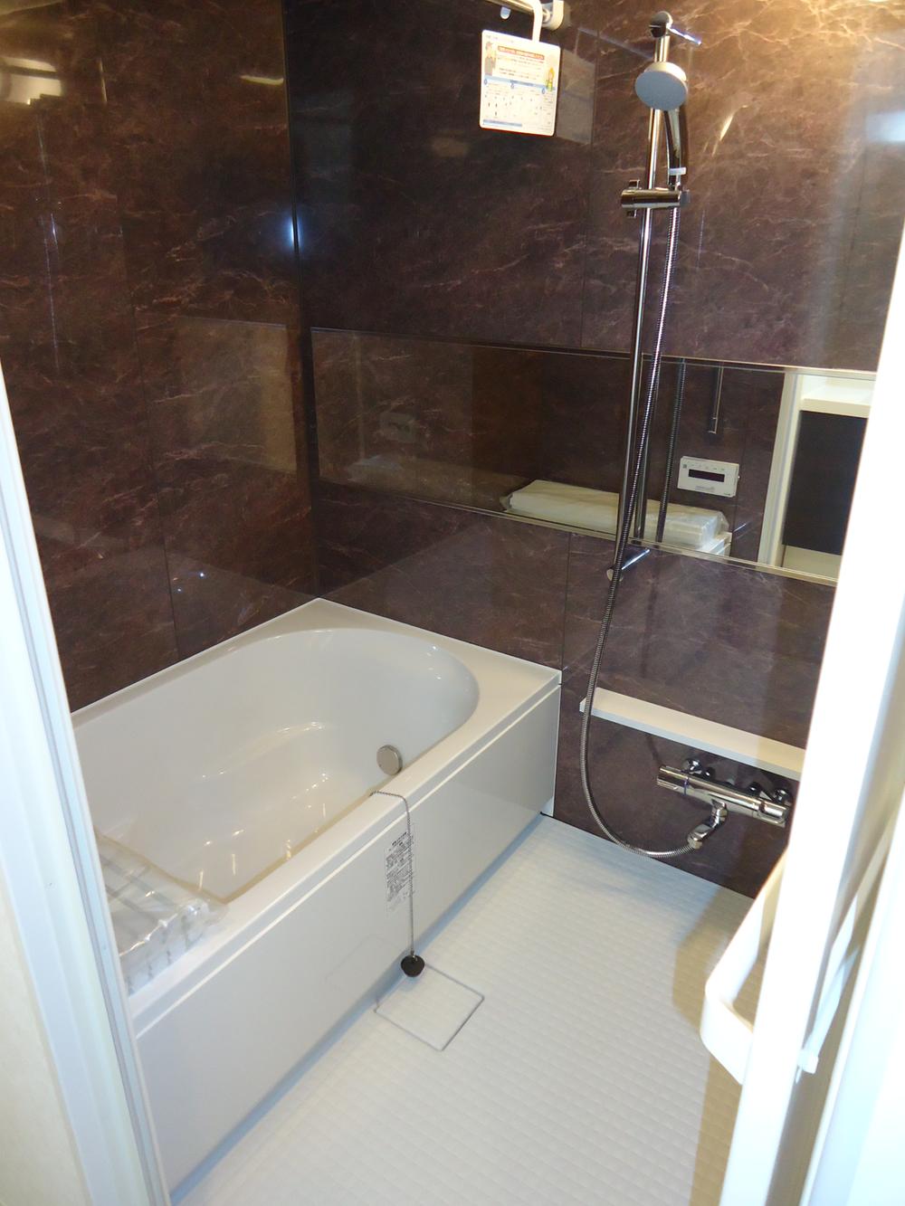 Bathroom. Indoor (12 May 2013) Shooting