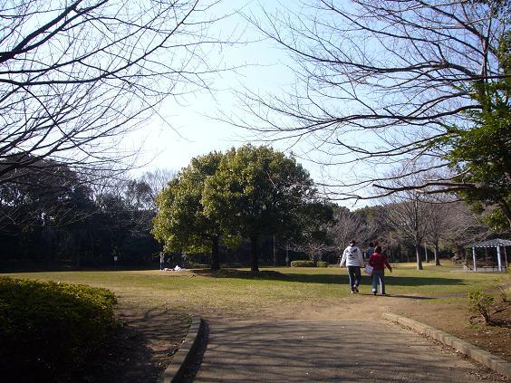 Other. Akitsu park A 2-minute walk (130m)