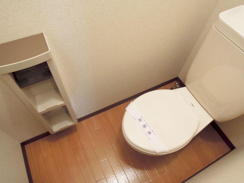 Toilet. Rest room with cleanliness.