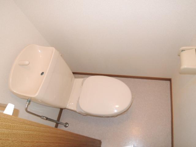 Toilet. Rest room with cleanliness