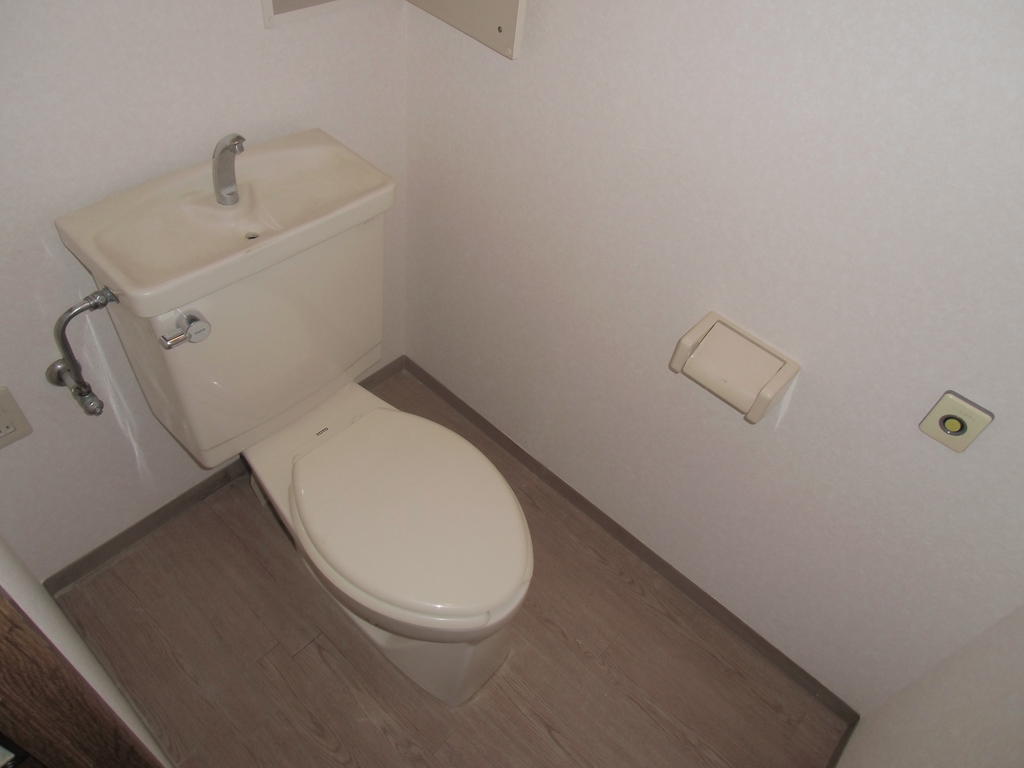 Toilet. It is a toilet with a clean.