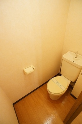 Toilet. Toilet (with electrical outlet ・ There is also a shelf at the top. )