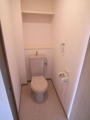 Toilet. Convenient and easy to use with a shelf in toilet.