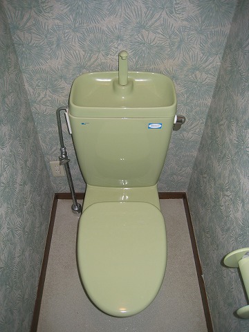 Toilet. It is refreshing clean toilet.