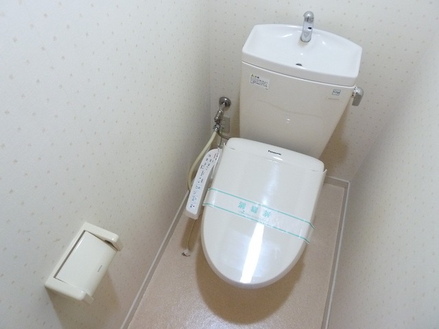 Other. Comfortable with warm water washing toilet seat to the toilet