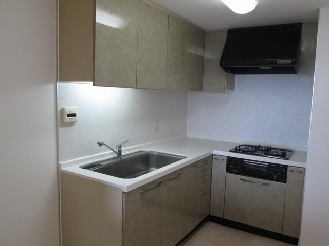 Kitchen. Indoor (June 2013) Shooting