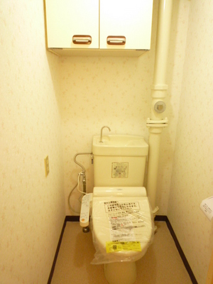 Toilet. It is pleasant in a brand new toilet seat. It established the warm water cleaning toilet seat. 