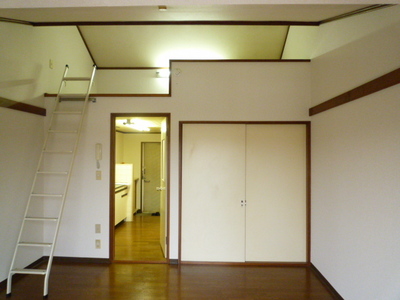 Living and room. Spacious loft is about 2 Pledge. It comes with a small lighting.