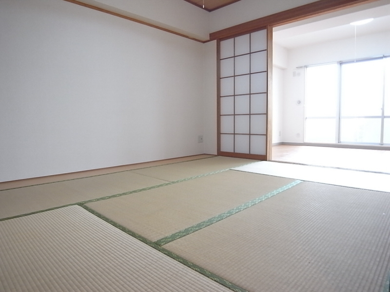 Living and room. Rush scent of you calm! It is very calm space. 