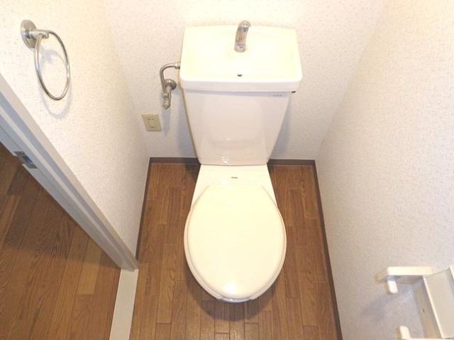 Toilet. Toilet