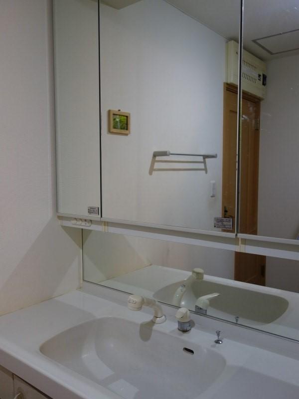 Wash basin, toilet. Wide in the three-sided mirror is a great shampoo dresser