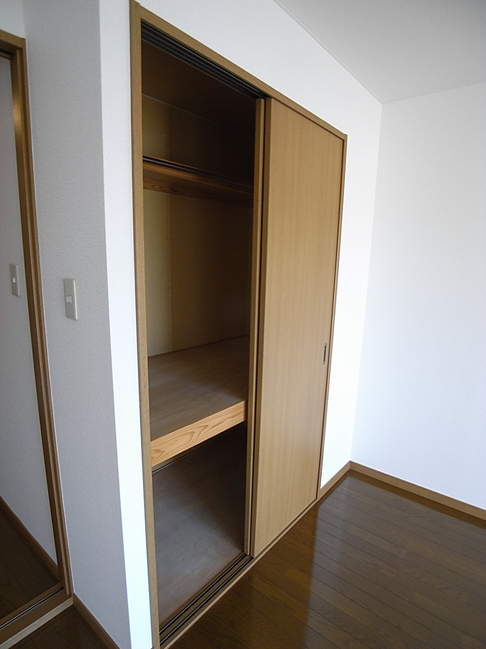 Other. It is amazing storage capacity Together with the entrance of the housing