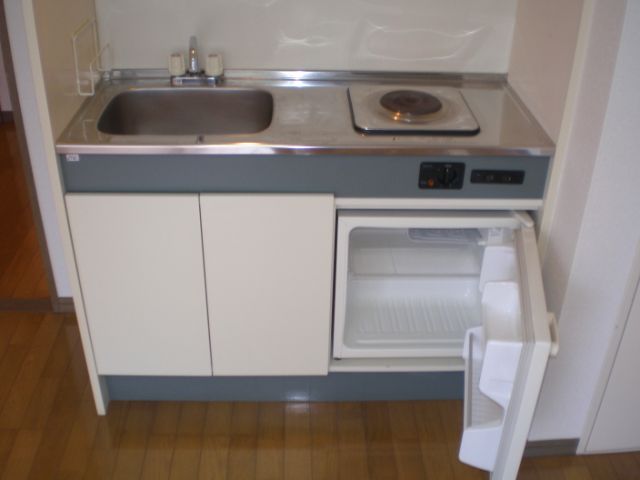 Kitchen. Kitchen is equipped with a mini fridge.