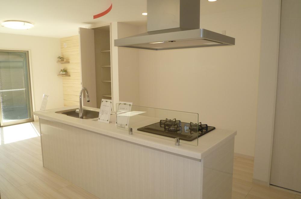 Kitchen. Indoor (10 May 2013) Shooting