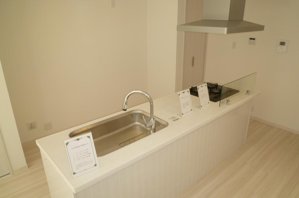 Kitchen. Indoor (10 May 2013) Shooting