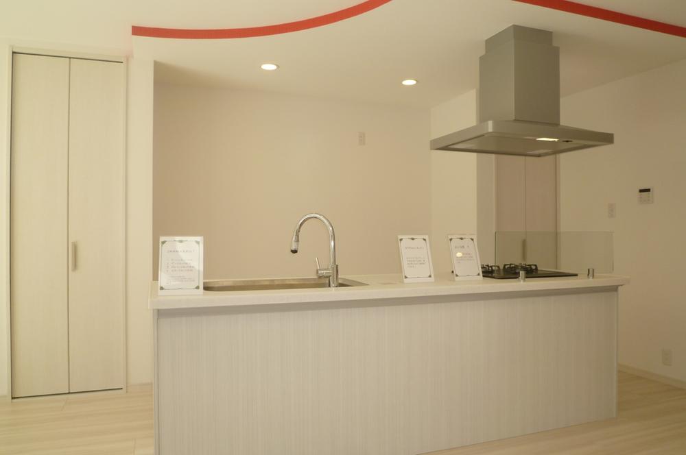 Kitchen. Indoor (10 May 2013) Shooting