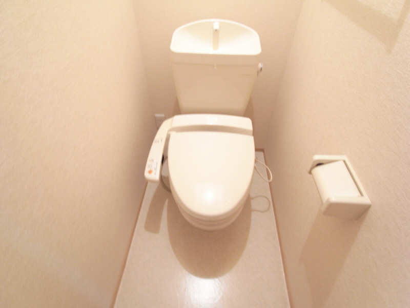 Toilet. Your toilet is equipped with bidet!