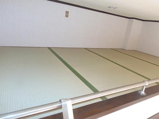 Other room space. It is a tatami mat of loft.