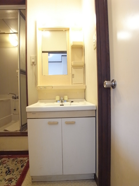Washroom. Convenient and happy independence washbasin