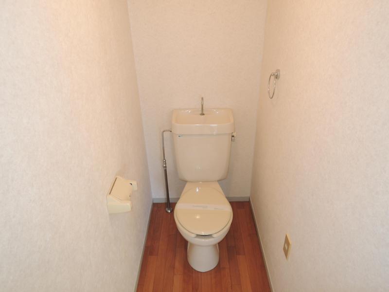 Toilet. It is beautifully cleaning being completed