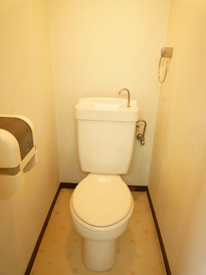 Toilet. Toilet with cleanliness.