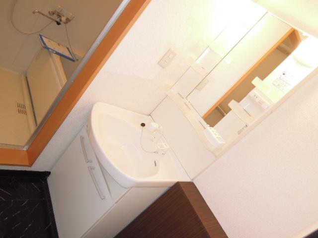 Washroom. Happy to prepare the morning with shampoo dresser.