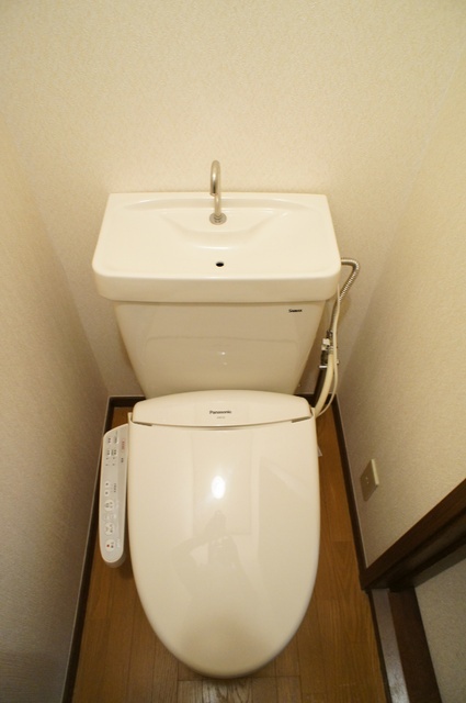 Toilet. Toilet