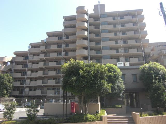 Local appearance photo. Local (September 2013) Shooting