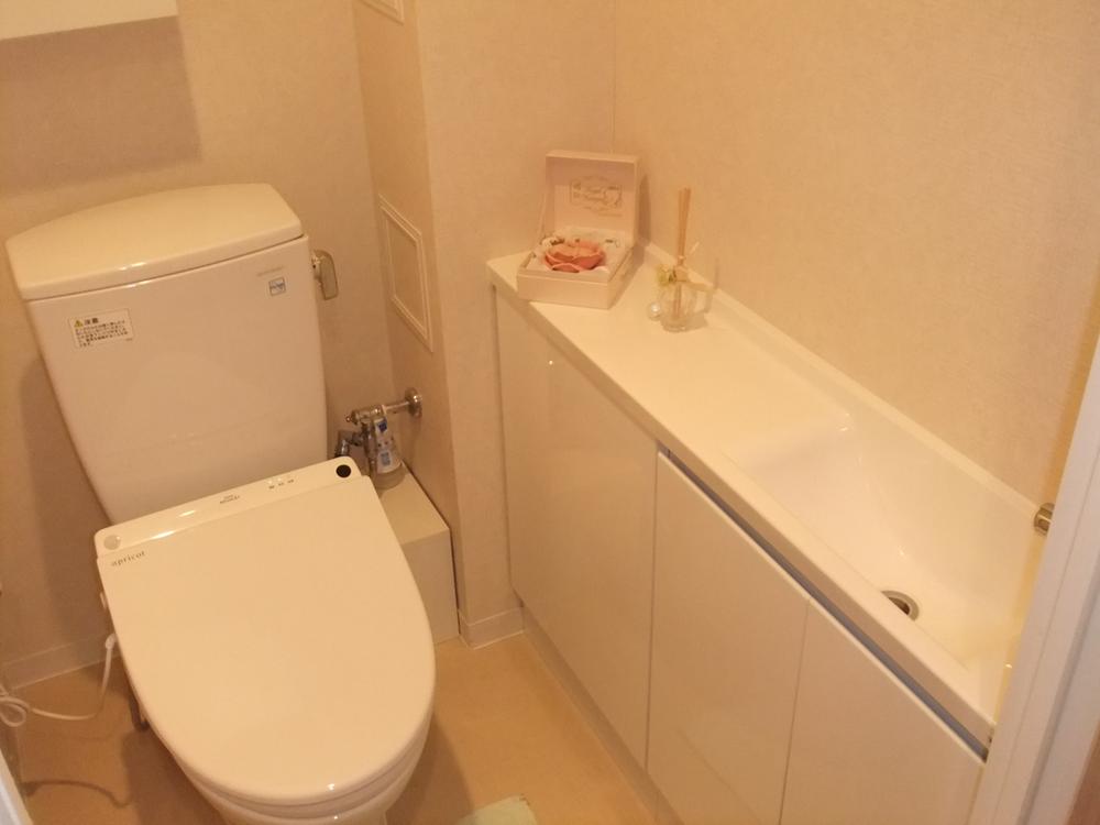 Toilet. Indoor (11 May 2013) Shooting