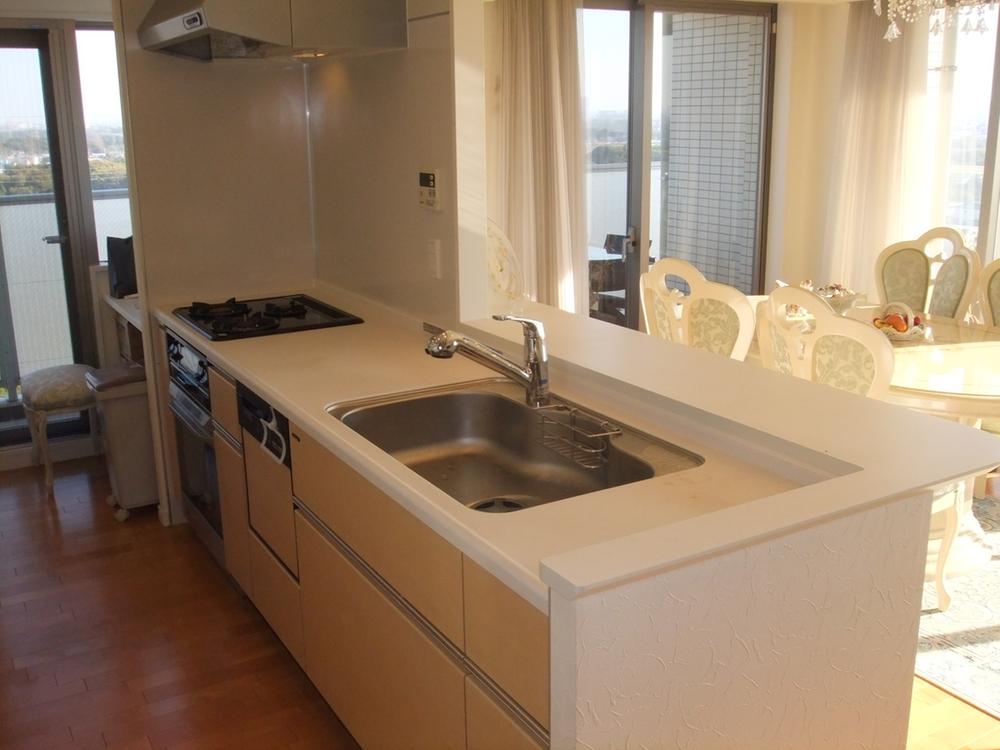 Kitchen. Indoor (11 May 2013) Shooting