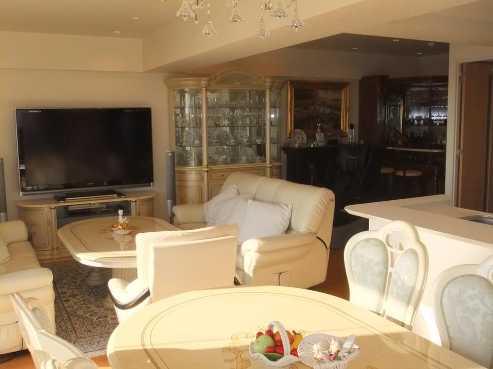 Living. Indoor (11 May 2013) Shooting