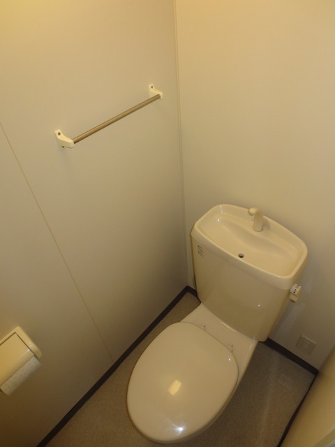 Toilet.  [Typical indoor photo]  Cleanliness overflowing toilet
