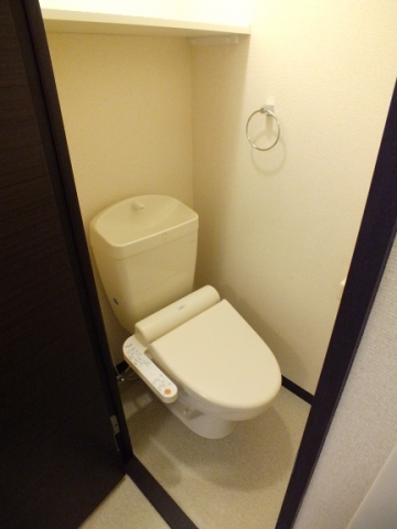 Toilet. Also it comes with a bidet!