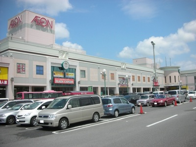 Shopping centre. 900m until ion Narita store (shopping center)