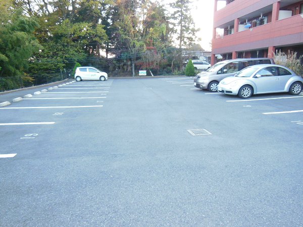 Parking lot. Parking lot