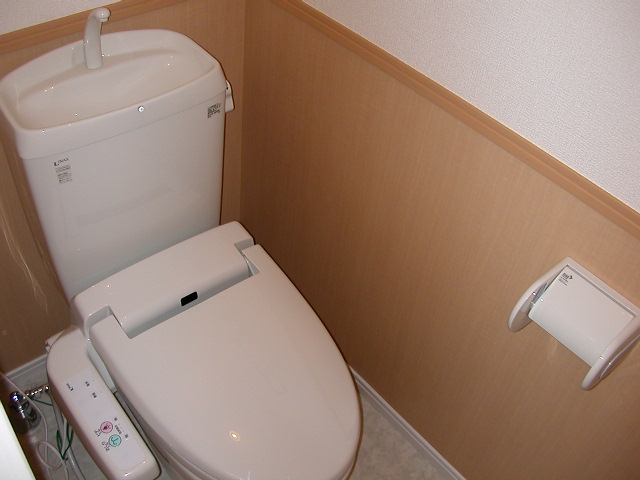 Toilet. Washlet toilet