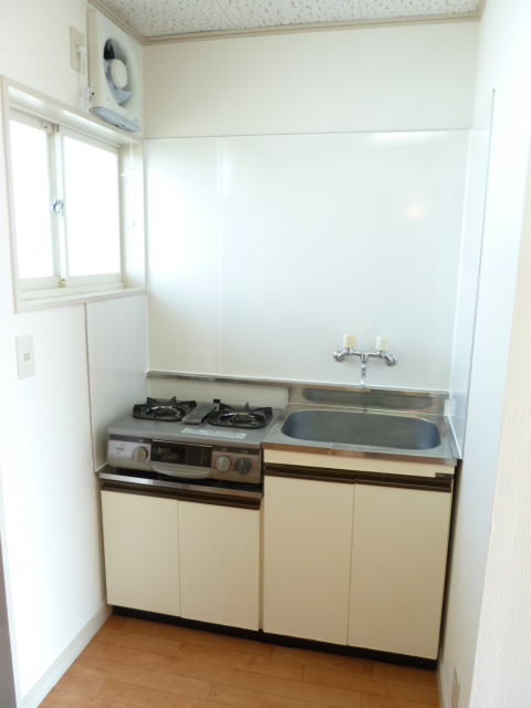 Kitchen. 2-neck with gas stove, Bright kitchen
