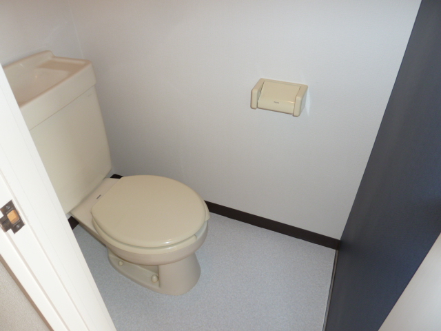 Toilet. (Image photo)