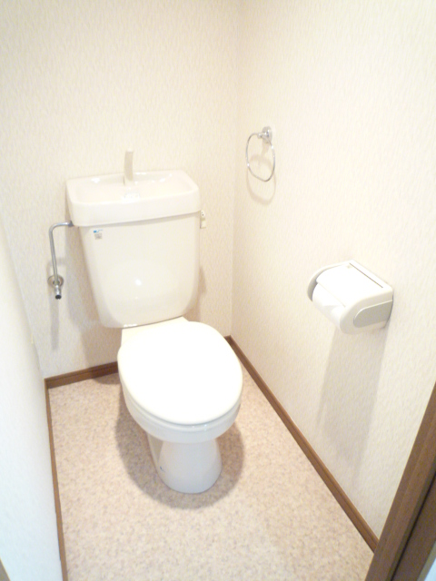 Toilet. 2011. 102, Room shooting