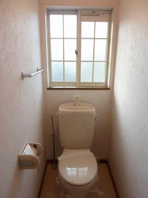 Toilet. Bright toilet.