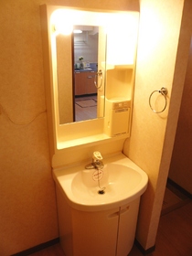 Washroom. Lighting with independent wash basin
