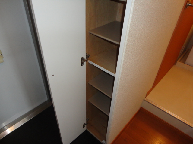 Entrance. Shoe box