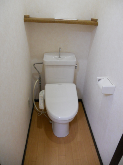 Toilet. With cleaning toilet seat